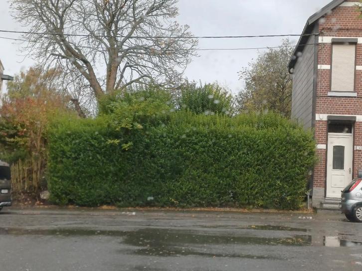 Terrain à bâtir à vendre, Immo, Gronden en Bouwgronden, 500 tot 1000 m²