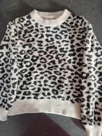 Trui maat S, Enlèvement ou Envoi, Taille 36 (S)