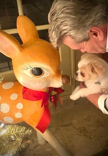 decoratie kind/kerst Bambi papier maché beschikbaar voor biedingen