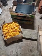 stanis rooster Ong 16m2, Ophalen, Zo goed als nieuw