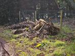Gratis hout, Tuin en Terras, Brandhout, Minder dan 3 m³, Ophalen, Overige houtsoorten, Stammen