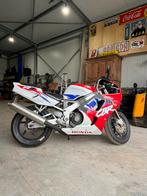 Cbr 900rr fireblade, Motoren, Motoren | Honda, 4 cilinders, 900 cc, Particulier