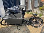 Urban Arrow Family Essential Line Bakfiets, 3 kinderen, Nieuw, Elektrisch, Ophalen