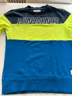 Short + t-shirt + sweater Vingino maat 16 jaar, Comme neuf, Autres types, Garçon, Enlèvement ou Envoi