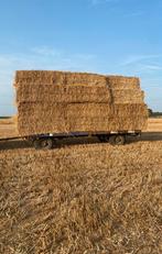 Tarwe stro 2025, Dieren en Toebehoren, Ophalen