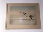 Léon Danchin — Ingelijste kleurenlithografie Ducks in flight, Antiek en Kunst, Ophalen of Verzenden