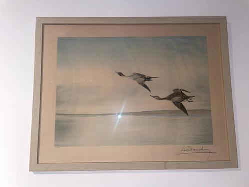 Léon Danchin — Ingelijste kleurenlithografie Ducks in flight, Antiek en Kunst, Kunst | Litho's en Zeefdrukken, Ophalen of Verzenden