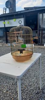 Vogelkooi, Ophalen, Zo goed als nieuw, Vogelkooi