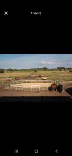 Round-pen of longeercirkels of stapmolenomheining, Dieren en Toebehoren