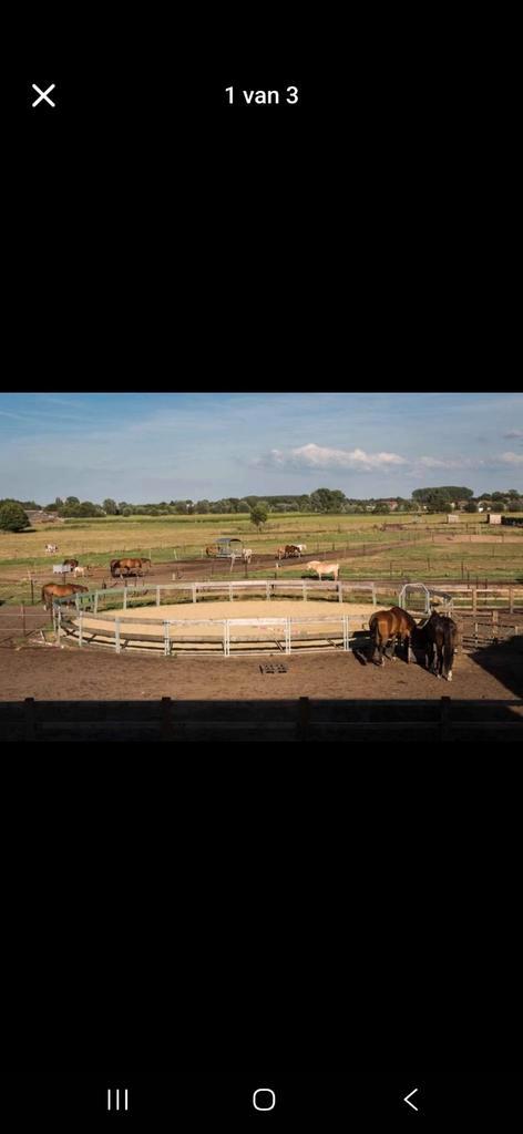 Round-pen of longeercirkels of stapmolenomheining, Dieren en Toebehoren, Stalling en Weidegang