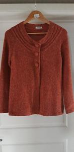 Roestbruine cardigan Damart B/Nl XS, Ophalen of Verzenden
