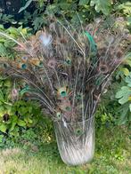 Pauwenveren, Huis en Inrichting, Woonaccessoires | Droogbloemen, Ophalen, Zo goed als nieuw