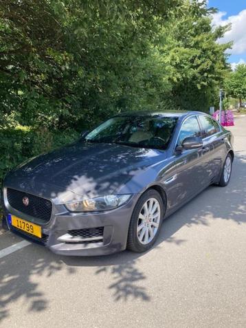 Jaguar XE, Autos, Cuir, Achat, Autres couleurs, Berline