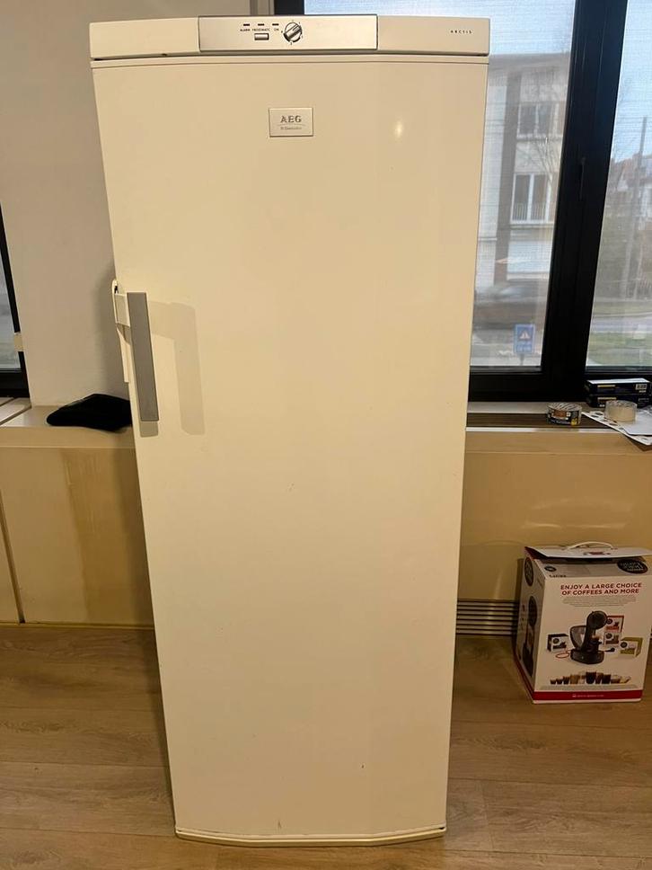 AEG ARCTIS 60250 GS – Diepvrieskast in topstaat!, Elektronische apparatuur, Vriezers en Diepvrieskisten, Gebruikt, Ophalen