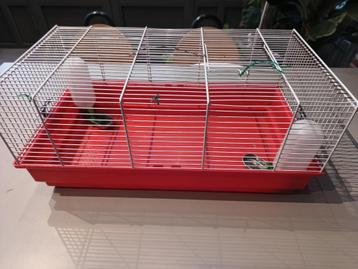 hamster/Cavia hok/kuikentjes beschikbaar voor biedingen
