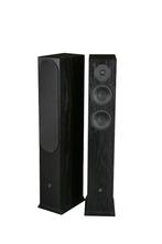 DLS R55 AB High End Speakers, Audio, Tv en Foto, Luidsprekerboxen, Overige merken, Nieuw, Ophalen of Verzenden, 120 watt of meer