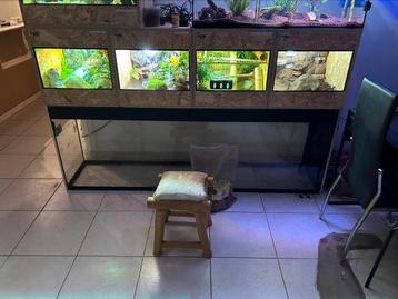 2m aquarium beschikbaar voor biedingen