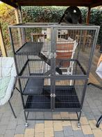 Rattenkooi, Dieren en Toebehoren, Ophalen, Gebruikt