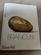 Kunstboek: Brancusi, Comme neuf, Enlèvement ou Envoi