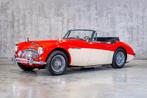 Austin Healey BJ7 3000, Zwart, Cabriolet, 3000 cc, Rood