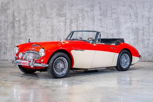 Austin Healey BJ7 3000, Auto's, Austin, Bedrijf, Te koop, Benzine, Cabriolet, Rood, Zwart, Ophalen