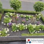 Basalt split antraciet zwart siersplit tuin decoratie border, Tuin en Terras, Verzenden, Nieuw, Antraciet, Split