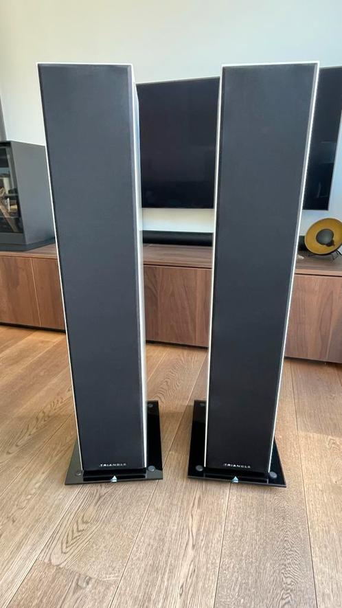 Triangle Antal EZ 2018, Audio, Tv en Foto, Luidsprekerboxen, Zo goed als nieuw, Overige typen, Overige merken, Ophalen