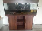 Aquarium Juwel 240 l inclusief meubel, Animaux & Accessoires, Enlèvement, Utilisé, Aquarium vide