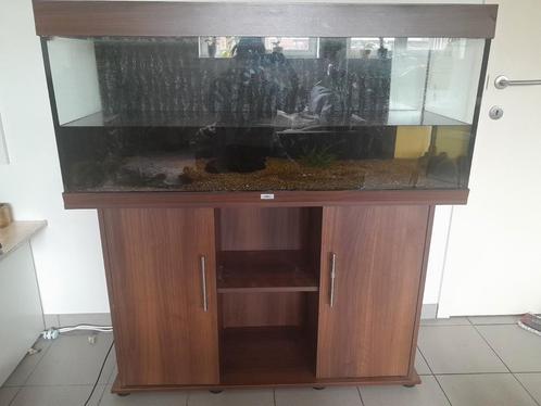 Aquarium Juwel 240 l inclusief meubel, Animaux & Accessoires, Poissons | Aquariums & Accessoires, Utilisé, Aquarium vide, Enlèvement