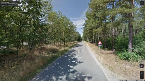 Kippen, hoenders, eenden, ..., Dieren en Toebehoren, Pluimvee, Overige soorten, Meerdere dieren