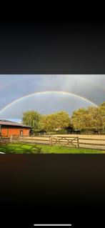 Paardenstal te huur te maldegem, Animaux & Accessoires, Box & Pâturages