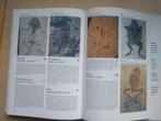 boek: geïllustreerde fossielen encyclopedie, Boeken, Natuur, Gelezen, Verzenden, Overige onderwerpen
