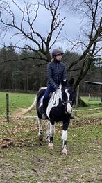 Training van koudbloeden, Ophalen of Verzenden
