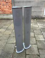 Enceintes Piega P4L MK2 Aluminum, Enlèvement, Comme neuf