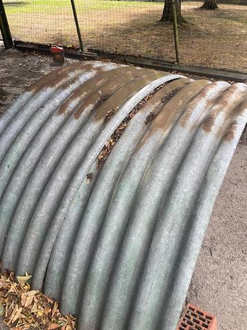 Witloof platen  beschikbaar voor biedingen