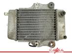 RADIATEUR Honda SES 150 Dylan (SES150) (01-1970/-) (614030), Motoren, Gebruikt