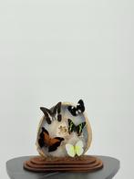 Opgezette Vlinders in Glazen Stolp - Wildernis Atelier, Verzamelen