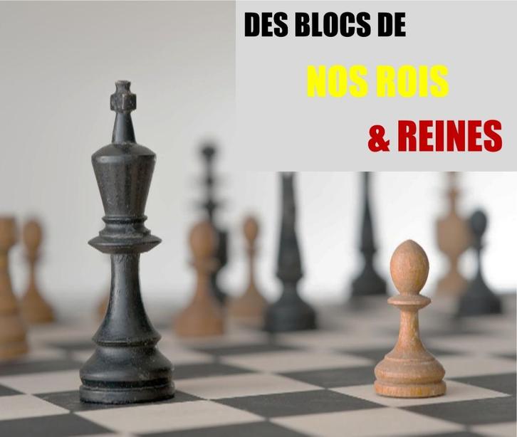 NIEUWE STEMPELBLOKKEN - BELGIË - EUROPA, Postzegels en Munten, Postzegels | Europa | België, Postfris, Frankeerzegel, Overig, Met stempel