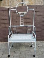 Stevige papegaai staander zie foto's, Dieren en Toebehoren, Vogels | Parkieten en Papegaaien, Papegaai