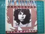 Jim Morrison Dark Star, Gelezen, Artiest, Ophalen of Verzenden, Dylan Jones