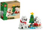 Lego 40571 - Christmas - IJsberen in de winter , Kinderen en Baby's, Speelgoed | Duplo en Lego, Ophalen of Verzenden, Nieuw, Complete set