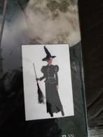 Heksen outfit voor Dames -, Kleding | Dames, Ophalen, Nieuw, Maat 46/48 (XL) of groter, Kleding