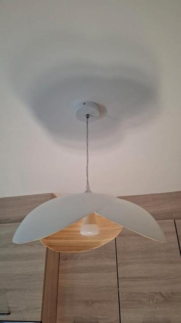 Suspension en bambou blanc -maison du monde
Quantité: 2
18cm beschikbaar voor biedingen