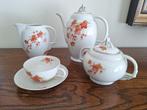 Koffieservies met oranje blaadjes en bloemetjes, Huis en Inrichting, Ophalen, Gebruikt, Overige stijlen, Compleet servies
