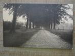 oude postkaarten Zandhoven Straten in natuur, Verzamelen, Postkaarten | Themakaarten, Ophalen of Verzenden, Natuur