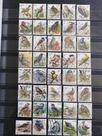 40 postzegels van Belgische vogels Buzin, Postzegels en Munten, Postzegels | Europa | België, Met stempel, Frankeerzegel, Ophalen of Verzenden