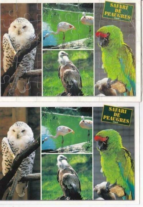 2 Franse (puzzel) ansichtkaarten vogels, uil, flamingo, Collections, Cartes postales | Animaux, Non affranchie, 1980 à nos jours