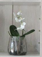 Glazen bloempot, Enlèvement, Neuf, Intérieur