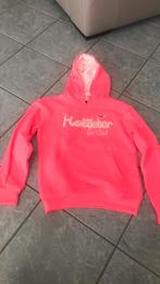 Hoodie sweater maat L, Kleding | Dames, Ophalen of Verzenden, Zo goed als nieuw, Maat 42/44 (L)