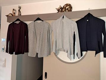 Cardigan ouvert, Cecil et Esprit avec M 